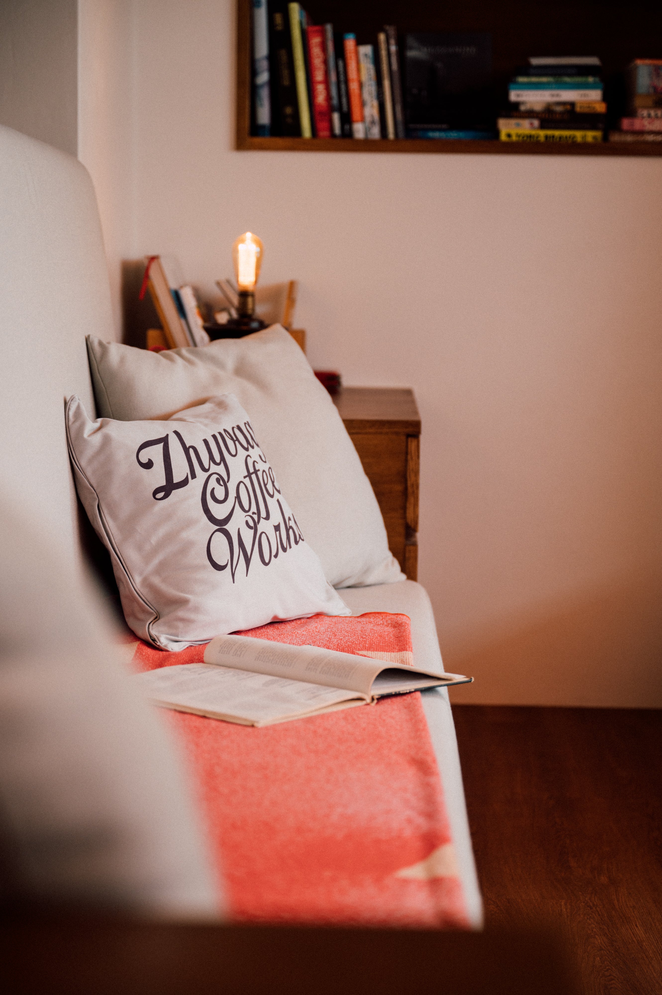 ZHYVAGO "TRIKE" cushion cover