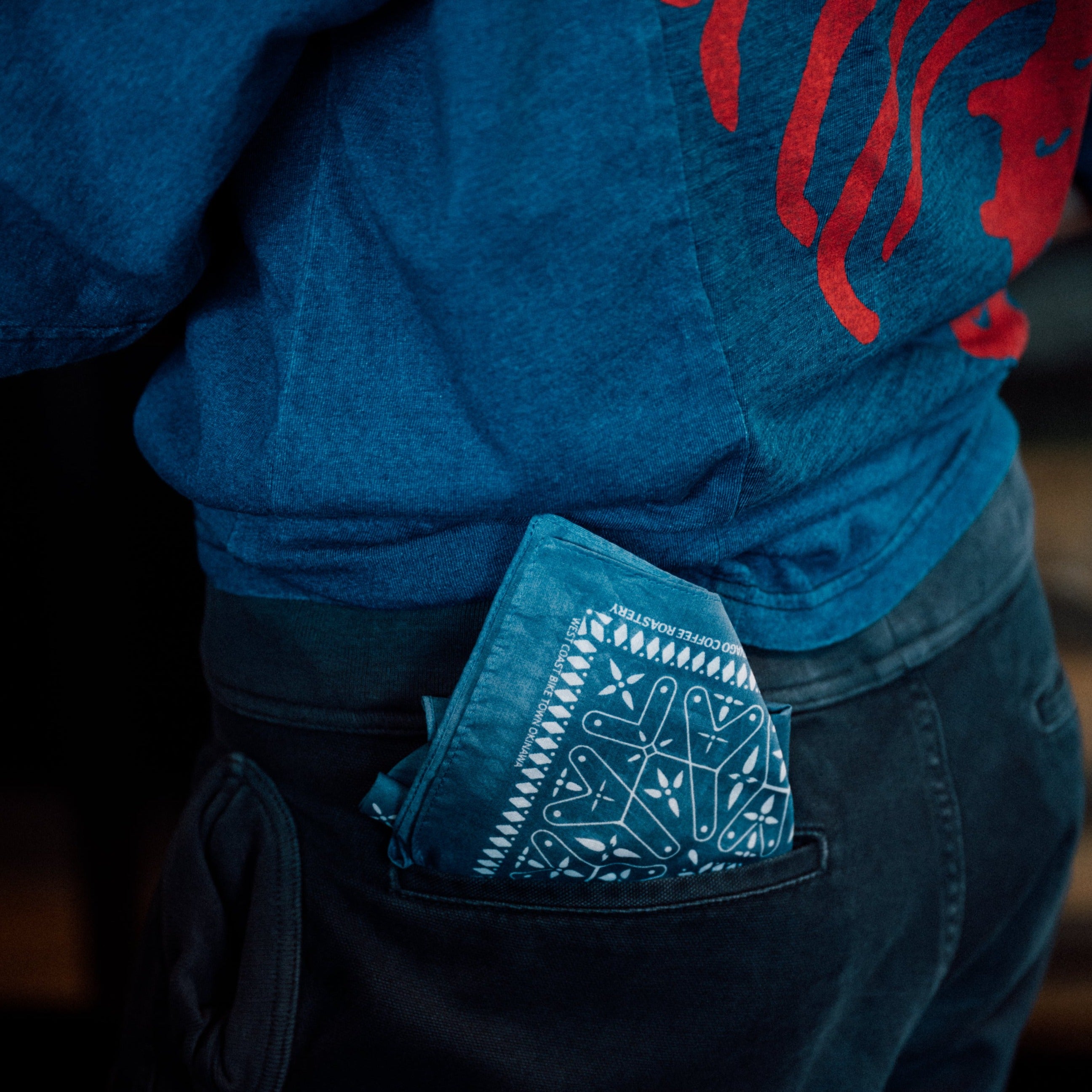 ZHYVAGO "Z" Dragon fly BANDANA _Lawn