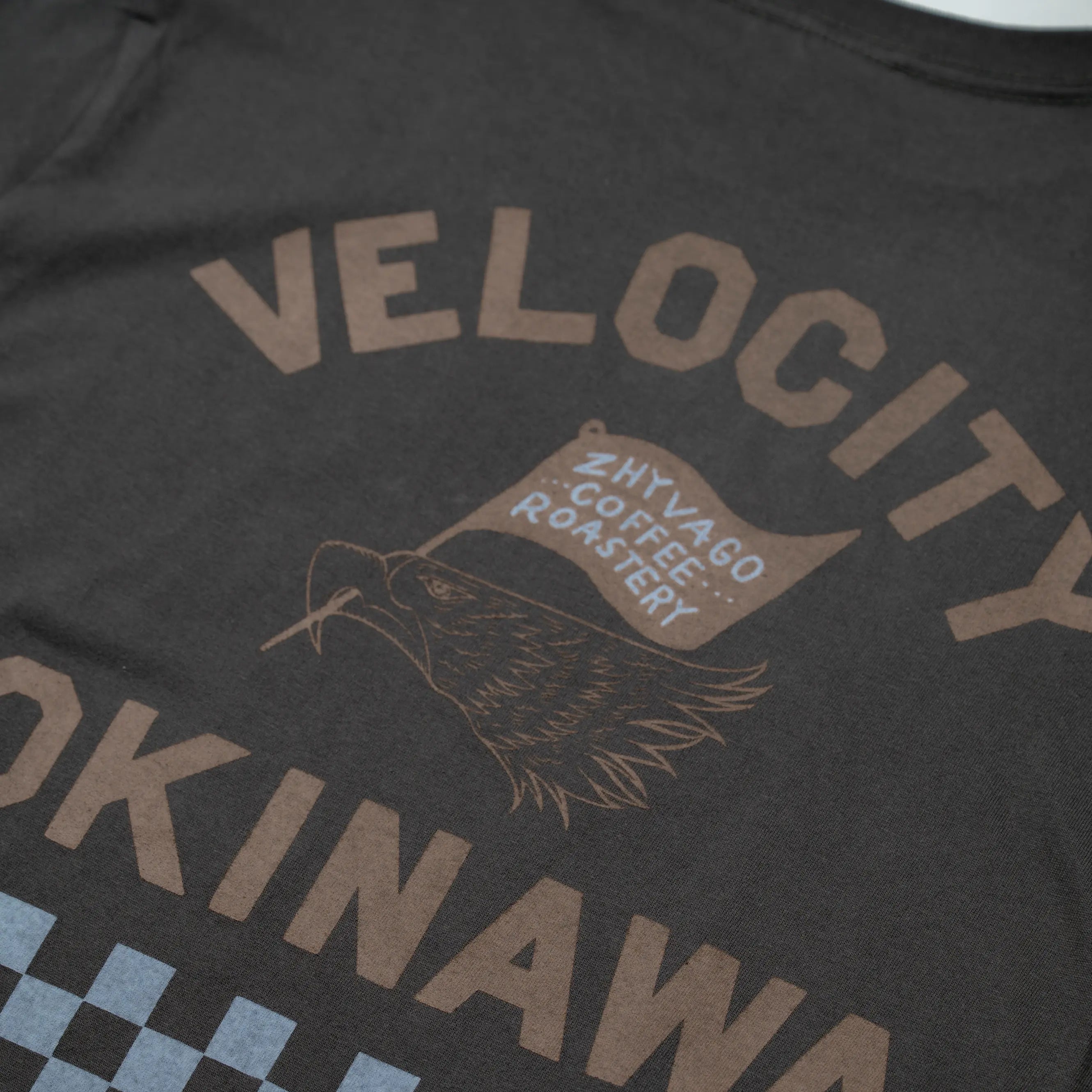 Velocity Okinawa L/S T-shirt
