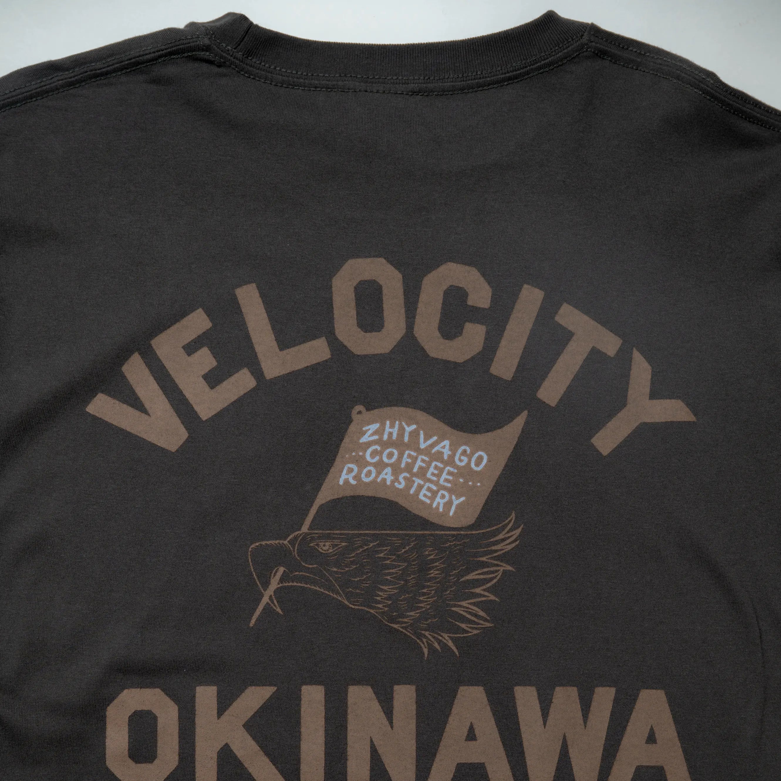 Velocity Okinawa L/S T-shirt