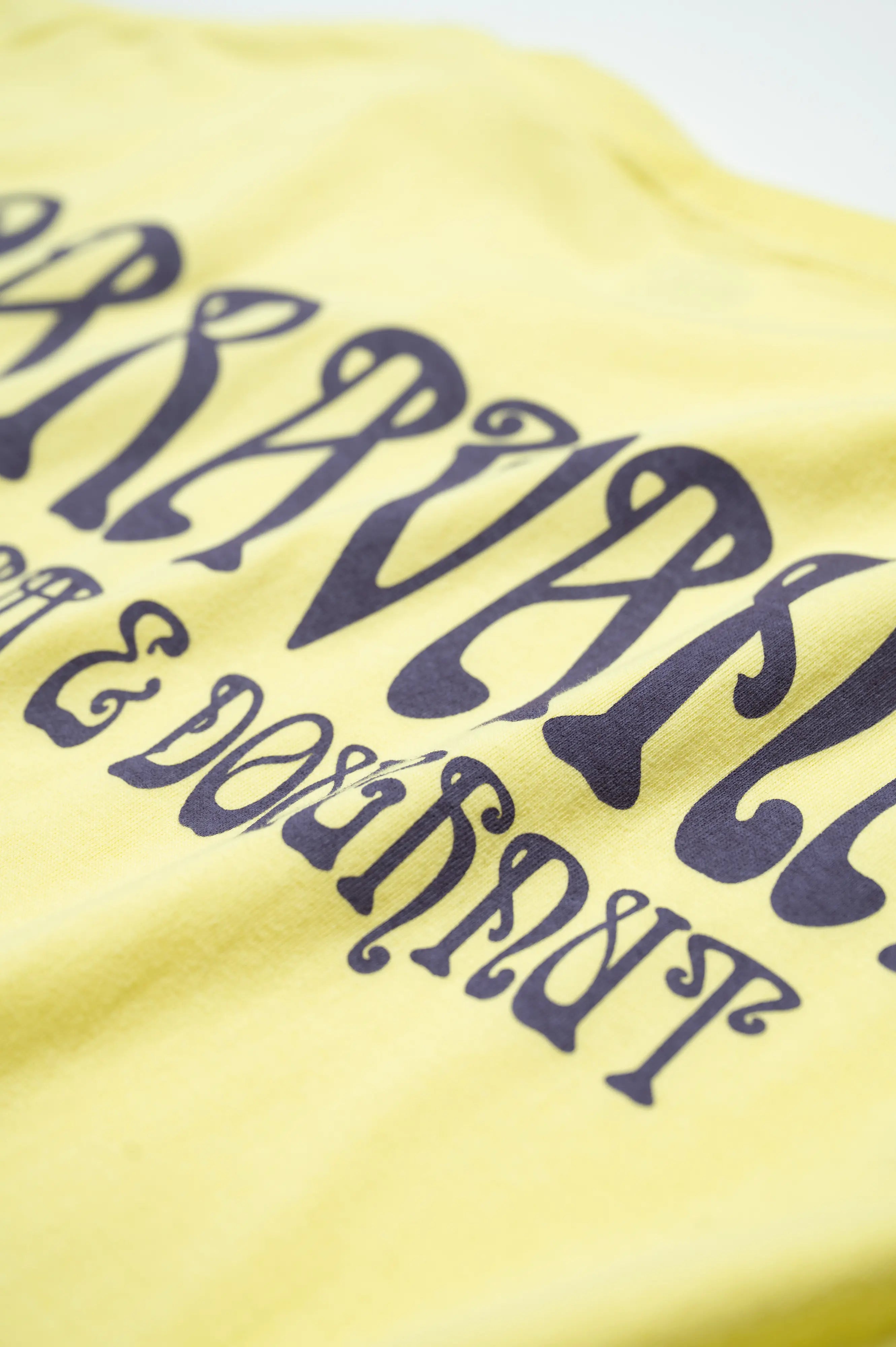 CARAVANA 2026 T-shirt