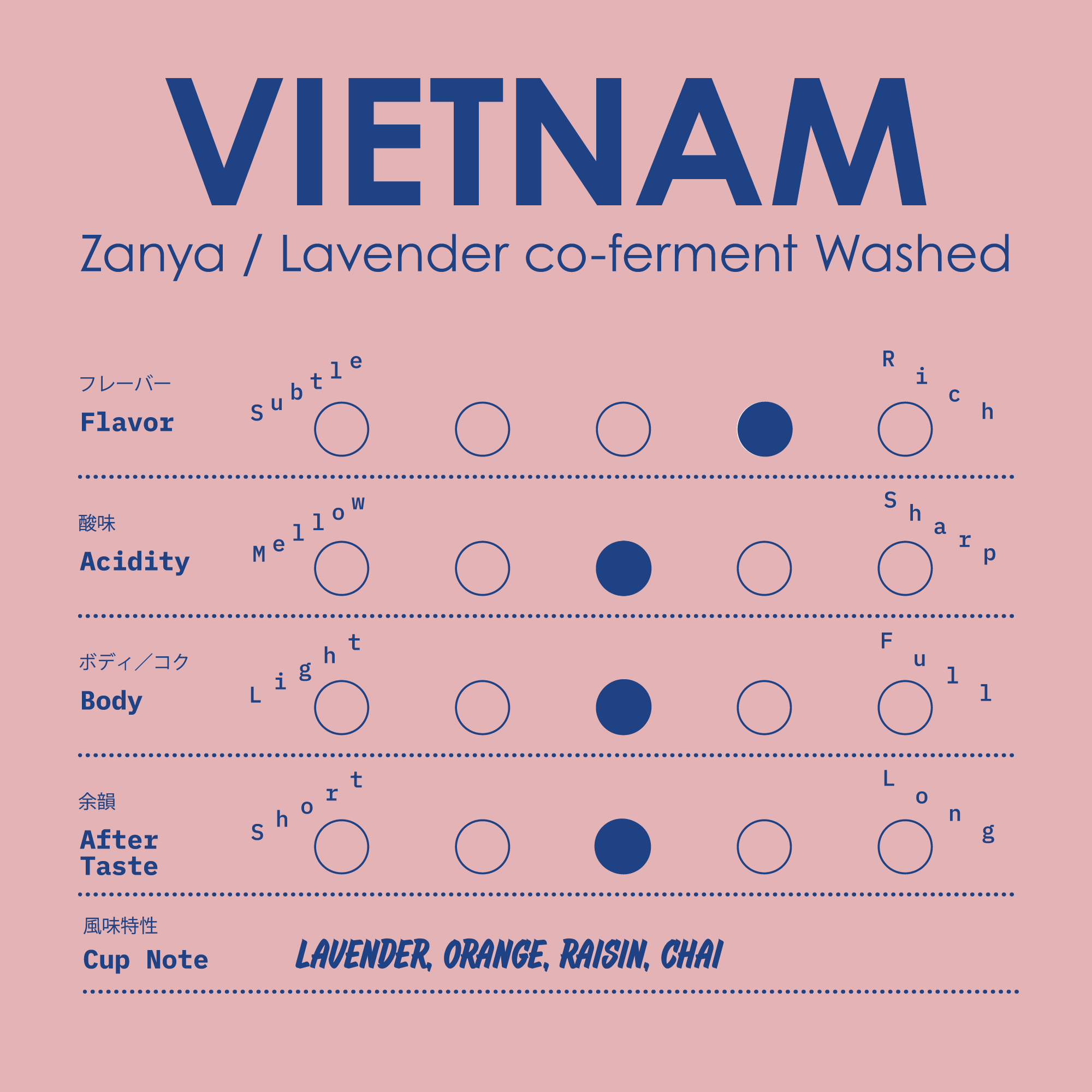 [BEANS] SINGLE ORIGIN VIETNAM